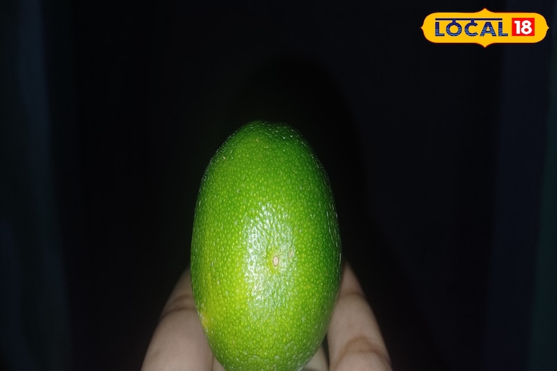 Lemon Lemon