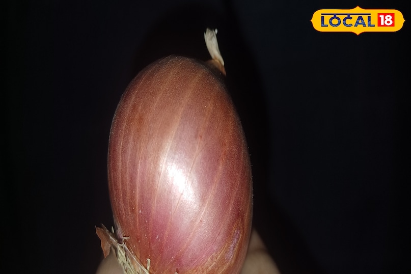 Onion Onion