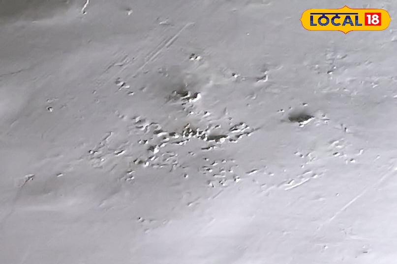 टपकती छत 