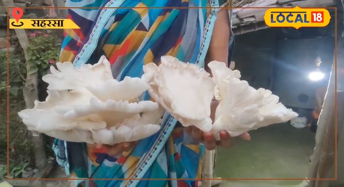 फ्री ट्रेनिंग से सीखें मशरूम की खेती, बनेगा लाखों कमाने का मौका, ऐसे करें...