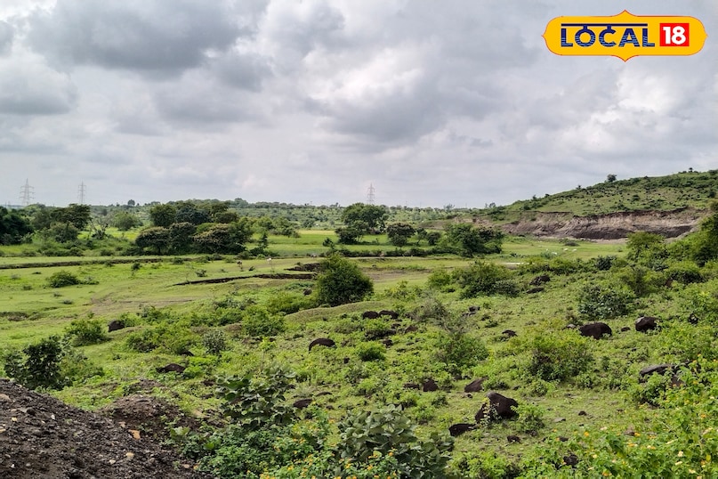कमजोर पड़ेगा मानसून कमजोर पड़ेगा मानसून