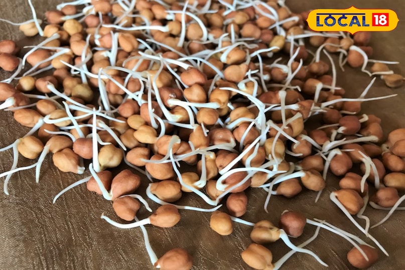 अंकुरित अनाज के फायदे चना 