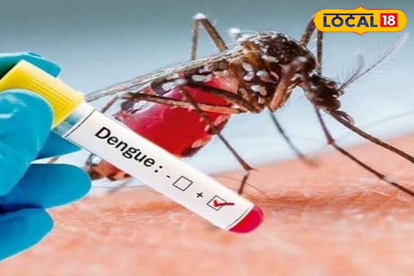 डेंगू 