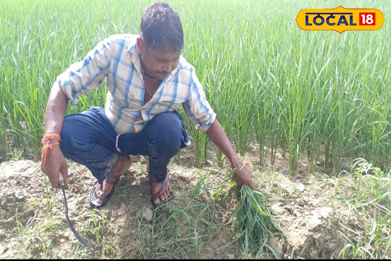 प्रकिया प्रकिया