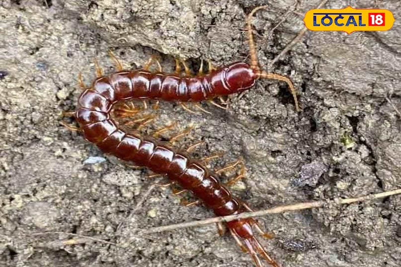 टिप्स एंड ट्रिक्स टिप्स एंड ट्रिक्स