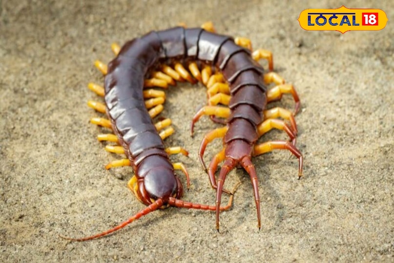 टिप्स एंड ट्रिक्स टिप्स एंड ट्रिक्स