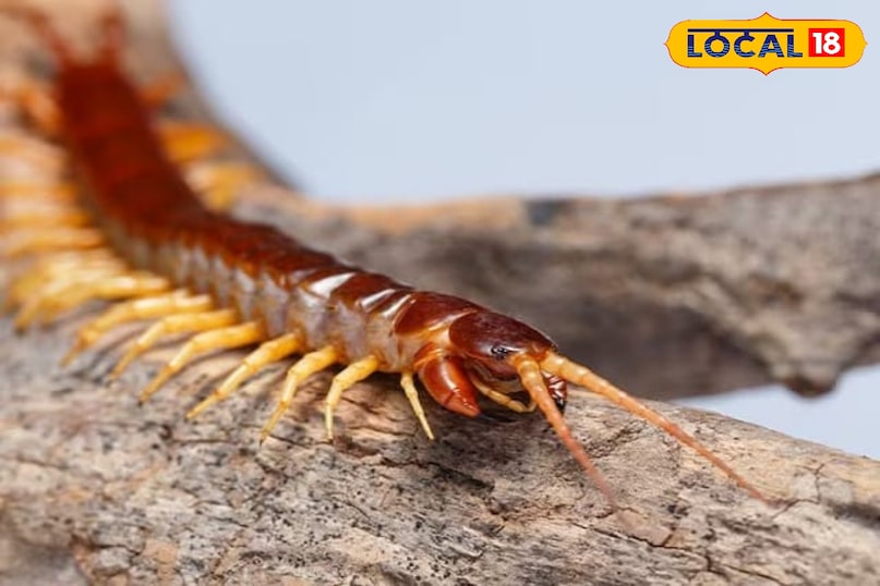 टिप्स एंड ट्रिक्स टिप्स एंड ट्रिक्स