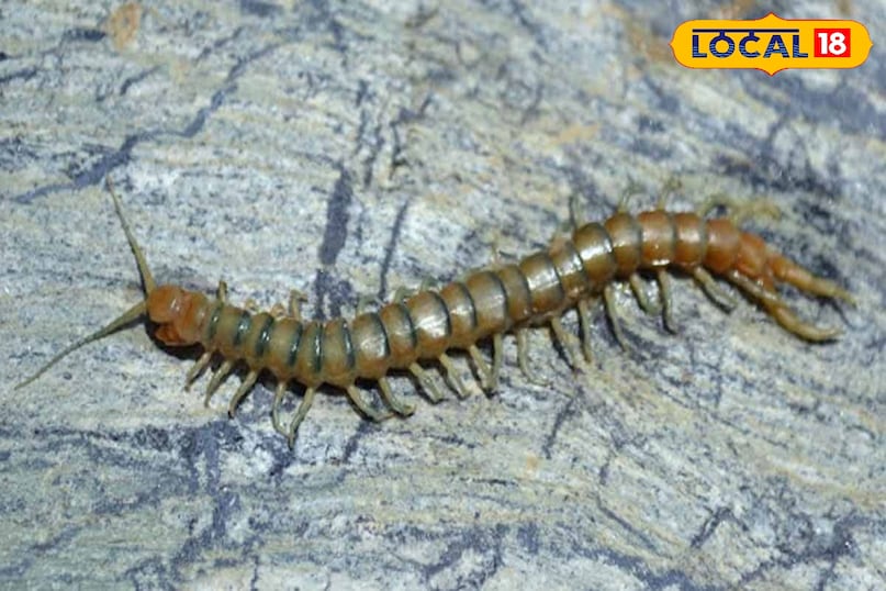 टिप्स एंड ट्रिक्स टिप्स एंड ट्रिक्स