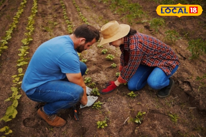 सतना सतना