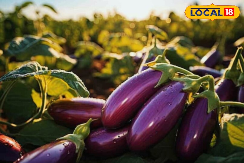 सतना सतना