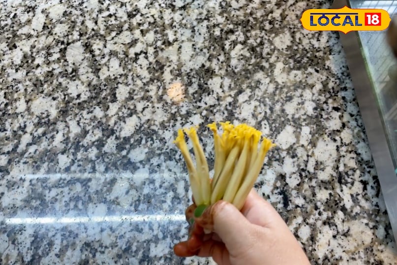 केला केला