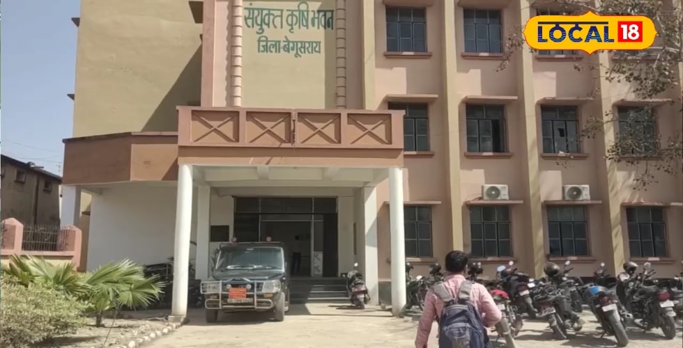 आंवला की बागवानी पर किसानों को मिलेगा 50 फीसदी अनुदान, जाने कैसे मिलेगा लाभ