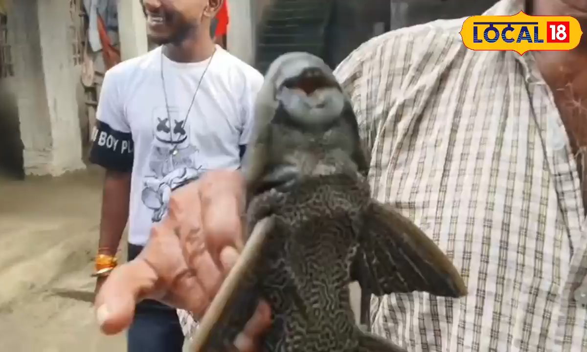 अमेजन नदी की मछली भटक कर पहुंची बिहार! गांव-गांव से देखने पहुंच रहे लोग