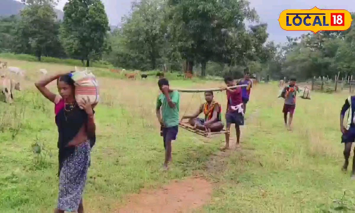 Viral Video: अब भी अंधेरे में बस्तर का ये इलाका...मरीज को कांवड़ पर ले गए 15km