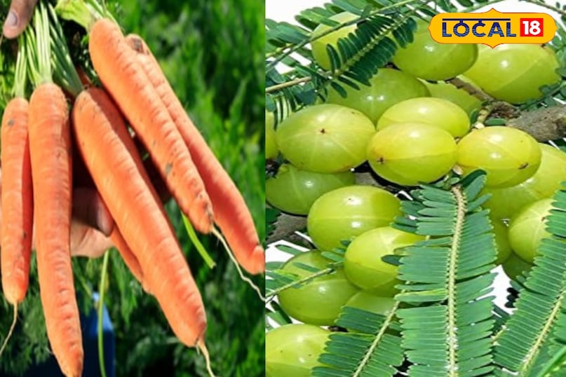 Carrots and Amla
