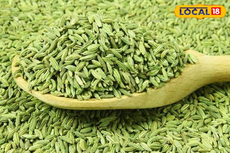 Fennel 