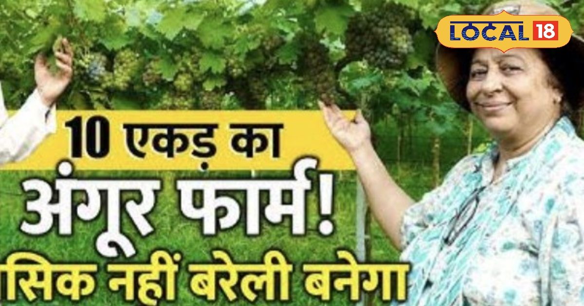 A high-tech organic farming model is ready for the farmers of Bareilly. Foreign fruits and plants like Italy and France can be grown in the environment of Bareilly and huge profits can be earned. – Uttar Pradesh News