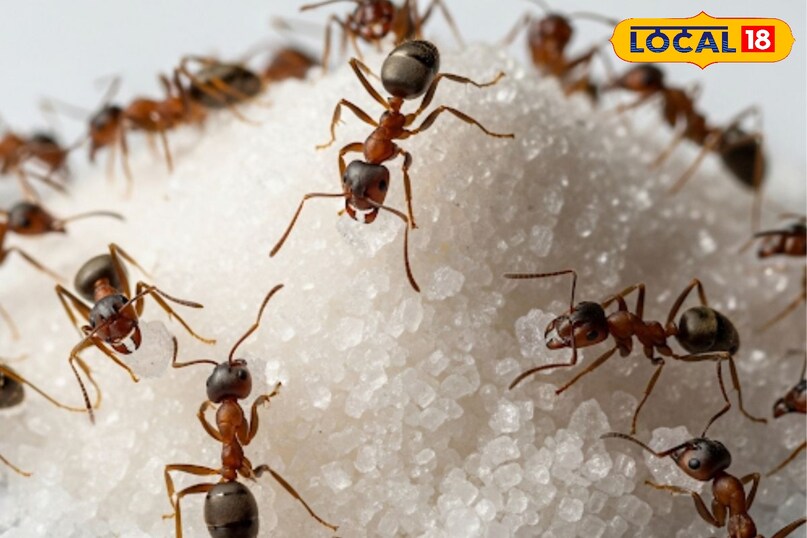 टिप्स एंड ट्रिक्स 