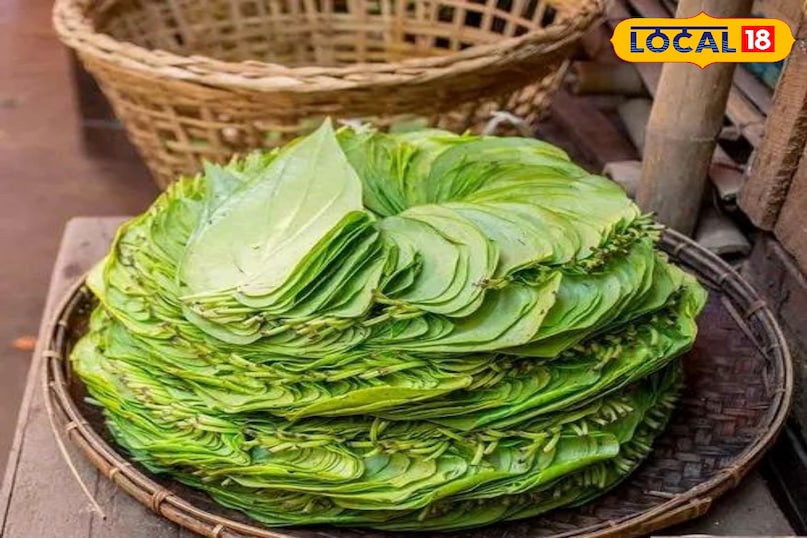 पान का पत्ता 