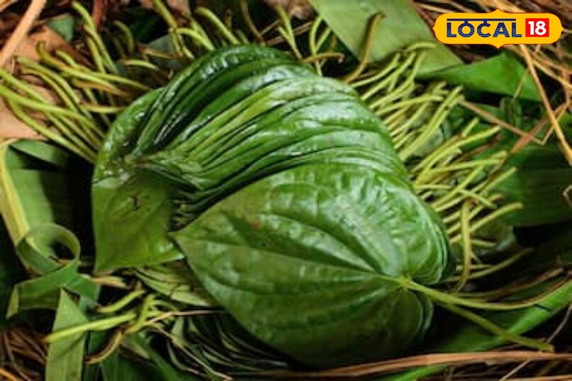 पान का पत्ता 