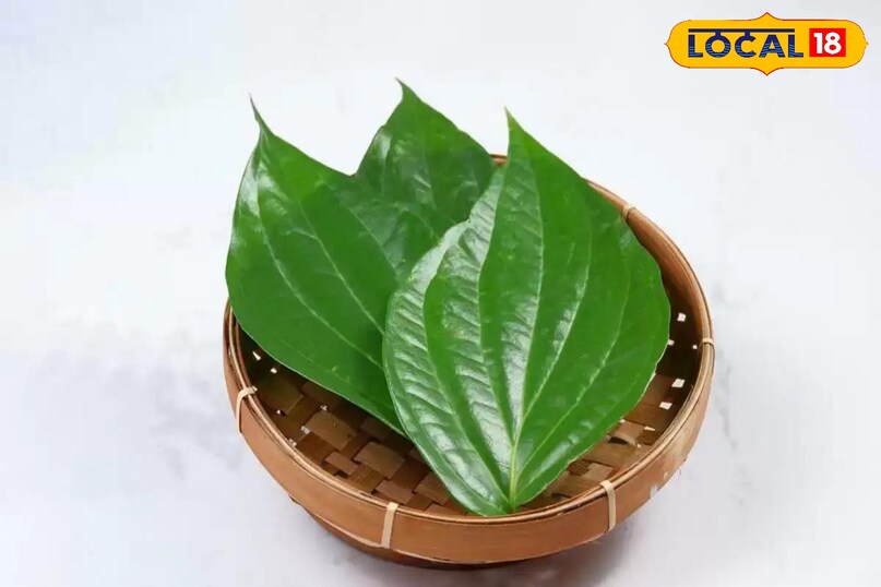 पान का पत्ता 