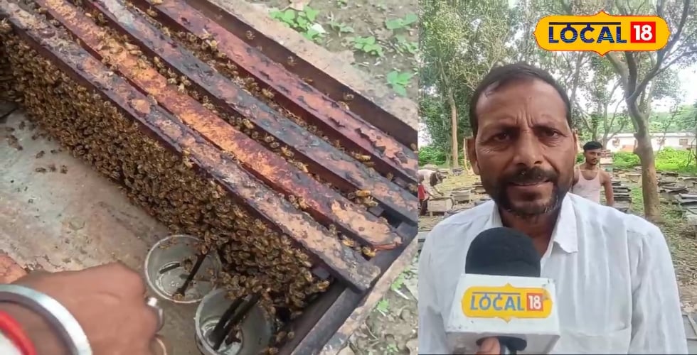 सपना टूटा, हिम्मत नहीं! पहली बार 50 हजार का नुकसान, फिर कमाई पहुंची 9 लाख