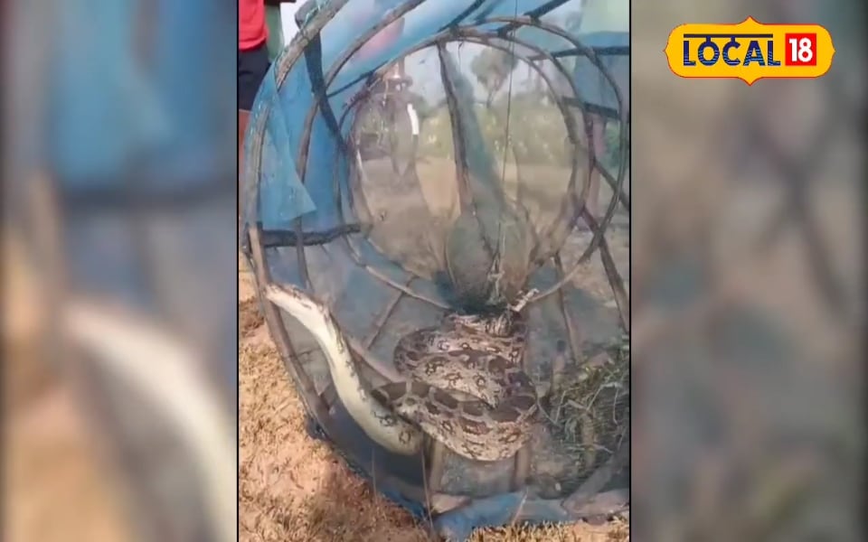 मछुआरों के जाल में फंसा विशालकाय जीव, देखकर उड़े लोगों के होश, देखें Video