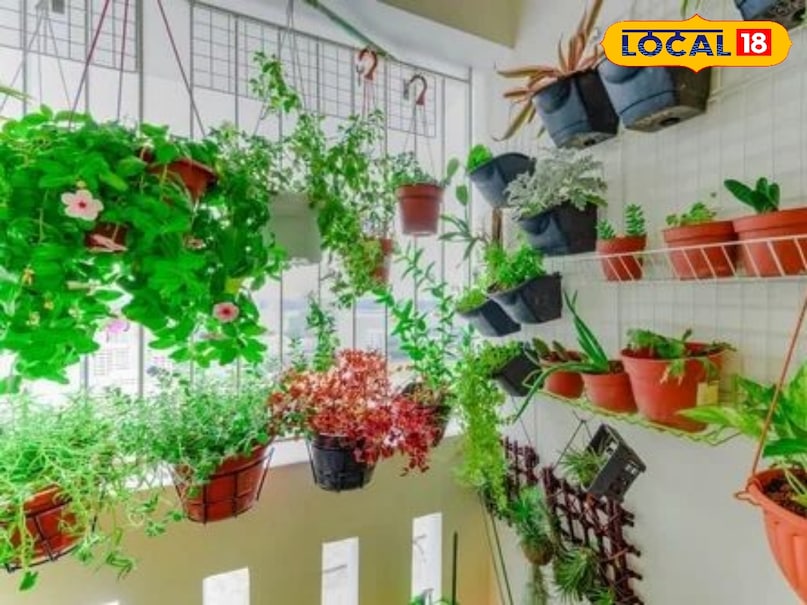 गार्डनिंग गार्डनिंग