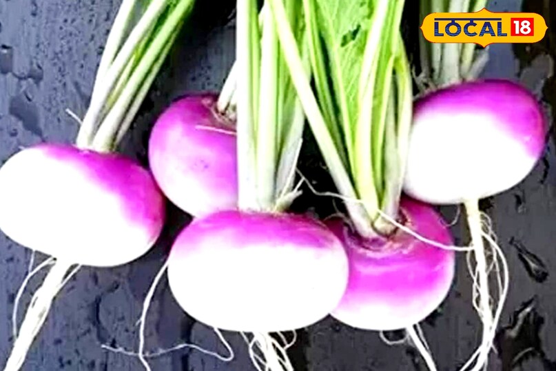 saljam farming