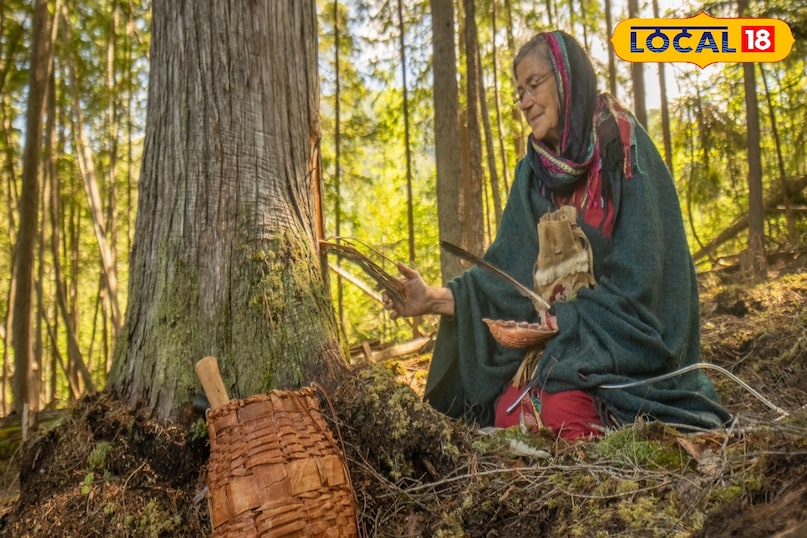 Cedar oil for earache: just add 2-3 drops and get relief 