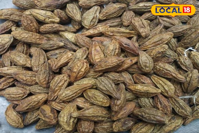 पाचन से इम्युनिटी तक – हर्रा के अनोखे फायदे 