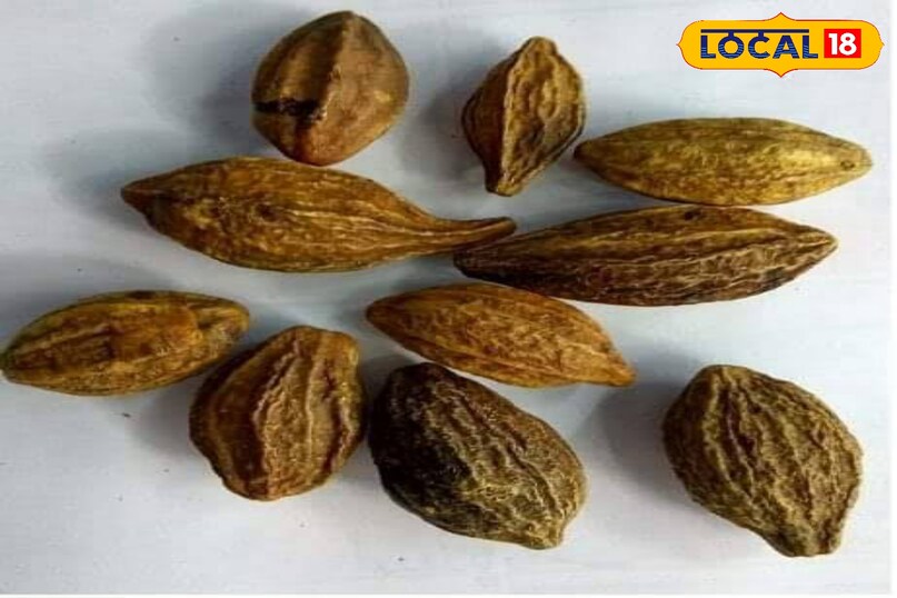 पाचन से इम्युनिटी तक – हर्रा के अनोखे फायदे 