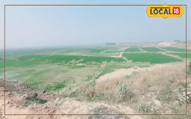 इंडस्ट्रियल पार्क बनने से दरभंगा जिले के विकास को मिलेगी नई उड़ान