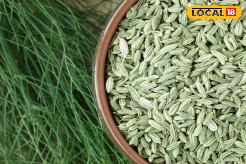 Moradabad news,hindi news,up news,local news, मुरादाबाद समाचार, हिंदी समाचार, यूपी समाचार, लोकल समाचार। 