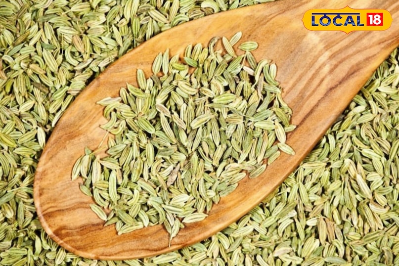 Moradabad news,hindi news,up news,local news, मुरादाबाद समाचार, हिंदी समाचार, यूपी समाचार, लोकल समाचार। 