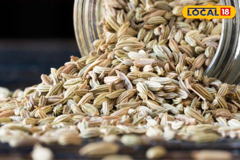 Moradabad news,hindi news,up news,local news, मुरादाबाद समाचार, हिंदी समाचार, यूपी समाचार, लोकल समाचार। 