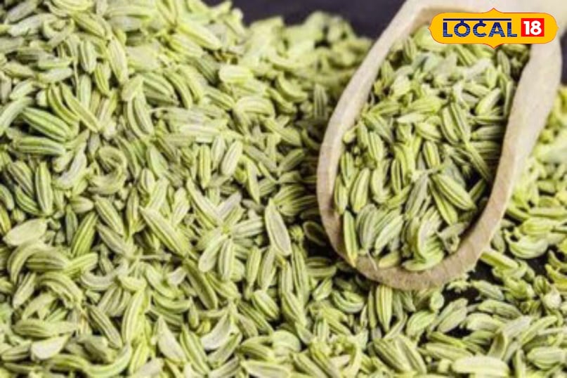 Moradabad news,hindi news,up news,local news, मुरादाबाद समाचार, हिंदी समाचार, यूपी समाचार, लोकल समाचार। 