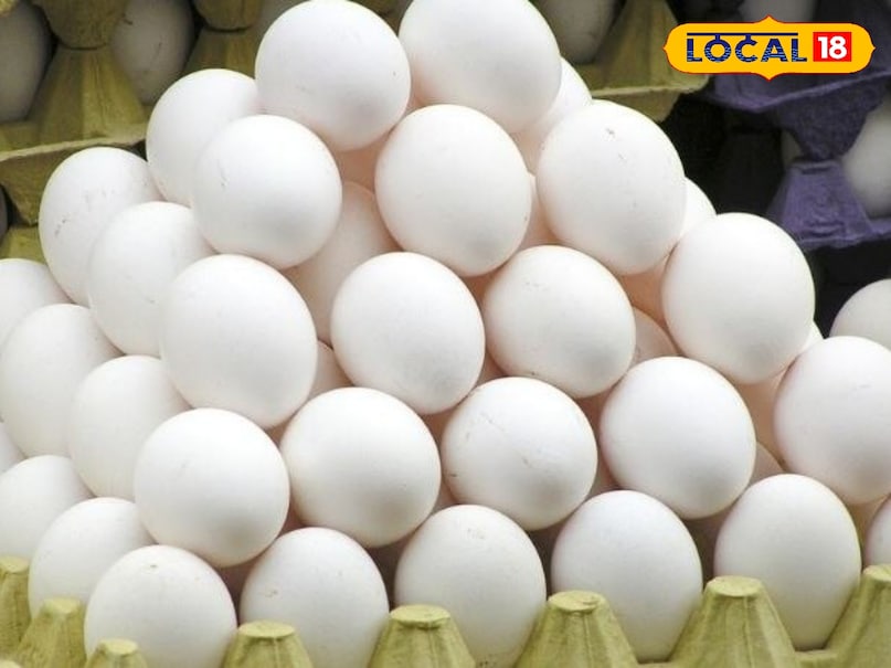 अंडे की ट्रे में रखें अंडे अंडे की ट्रे में रखें अंडे