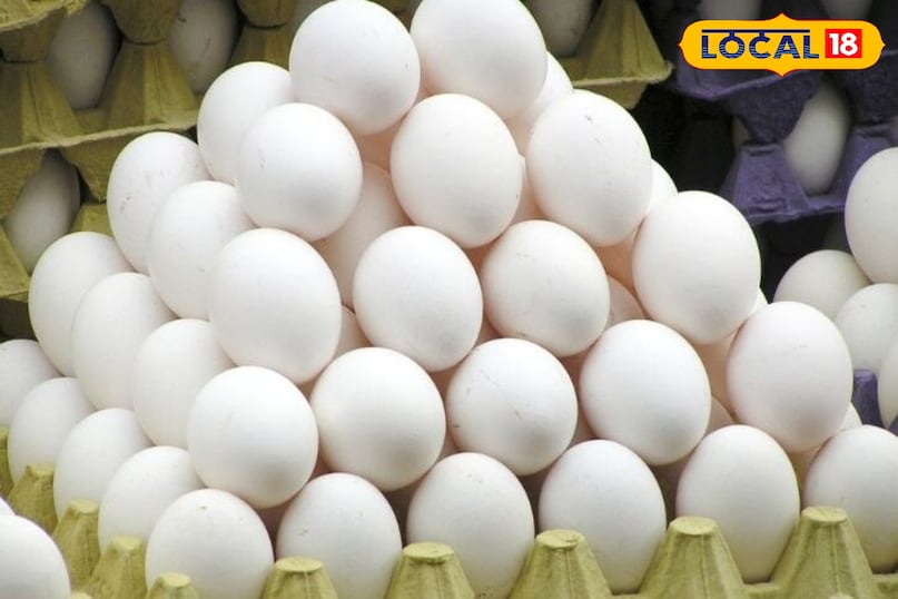 Tips And tricks: अंडे का फंडा ऐसा भी , अंडे के छिलके का किचन गार्डन में इस तरह करें इस्तेमाल Tips And tricks: अंडे का फंडा ऐसा भी , अंडे के छिलके का किचन गार्डन में इस तरह करें इस्तेमाल