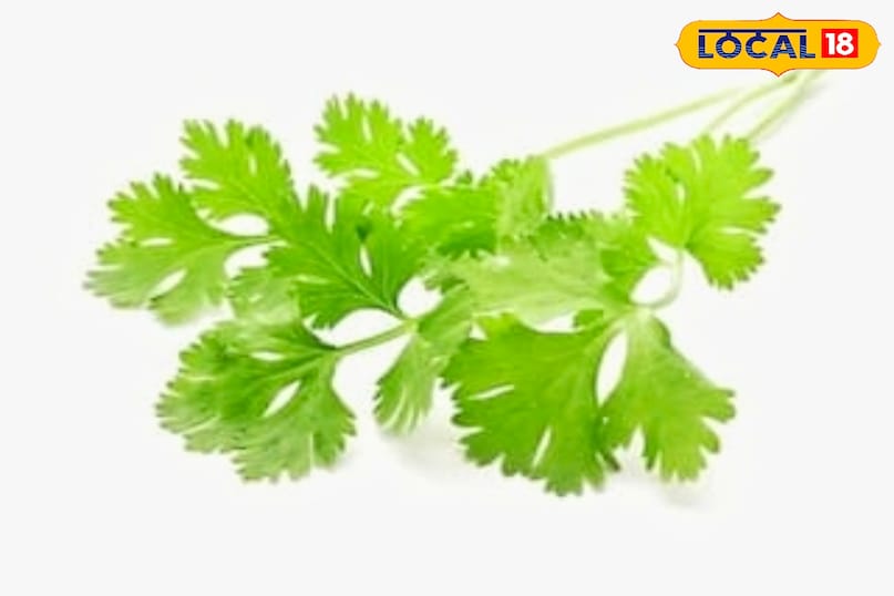 उज्जैन उज्जैन