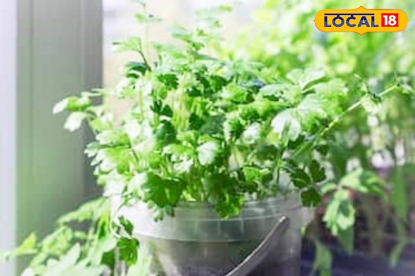 उज्जैन उज्जैन