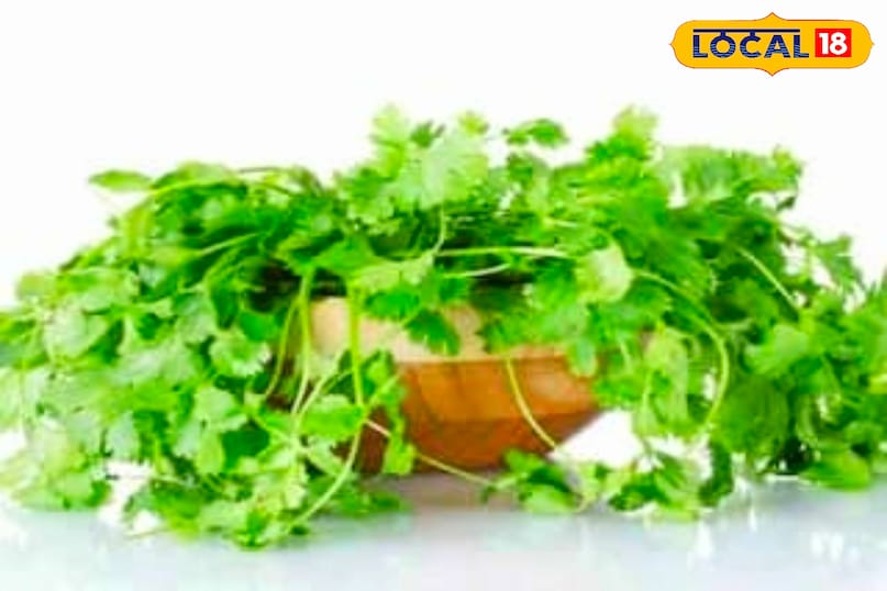 उज्जैन उज्जैन