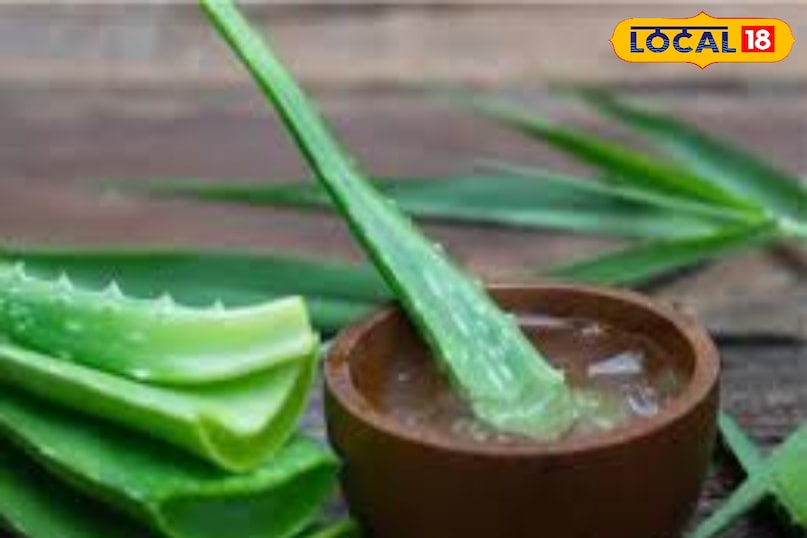 फटी एड़ियों के लिए एलोवेरा जेल एक अच्छा ऑप्शन है. दरअसल, इसमें एंटीसेप्टिक गुण होते हैं, जो फटी एड़ियों की मरम्मत में मदद करता है. ये स्किन को ठंडक भी देता है और जल्दी ही रिपेयर करने में मदद करता है.