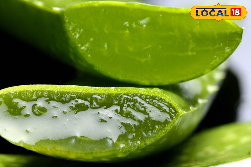 सिर्फ एलोवेरा से पाएं पार्लर जैसा ग्लास स्किन ग्लो – आसान होम रूटीन 