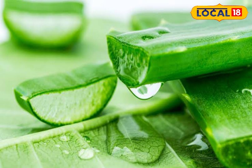 सिर्फ एलोवेरा से पाएं पार्लर जैसा ग्लास स्किन ग्लो – आसान होम रूटीन 