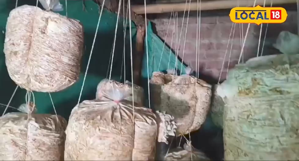 10 दिन की मुफ्त ट्रेनिंग से बदल जाएगी आपकी किस्मत, होने लगेगी इतनी कमाई