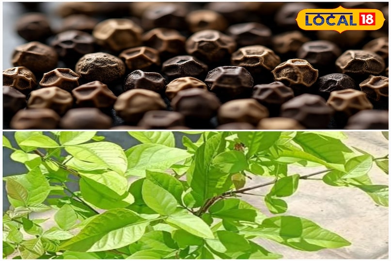 बेलपत्र