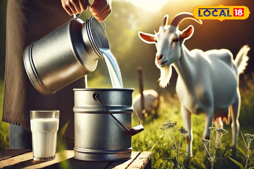 बकरी का दूध 