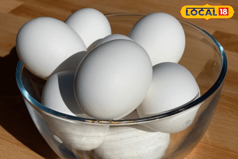 पानी के नीचे छिलका उतारना आसान पानी के नीचे छिलका उतारना आसान