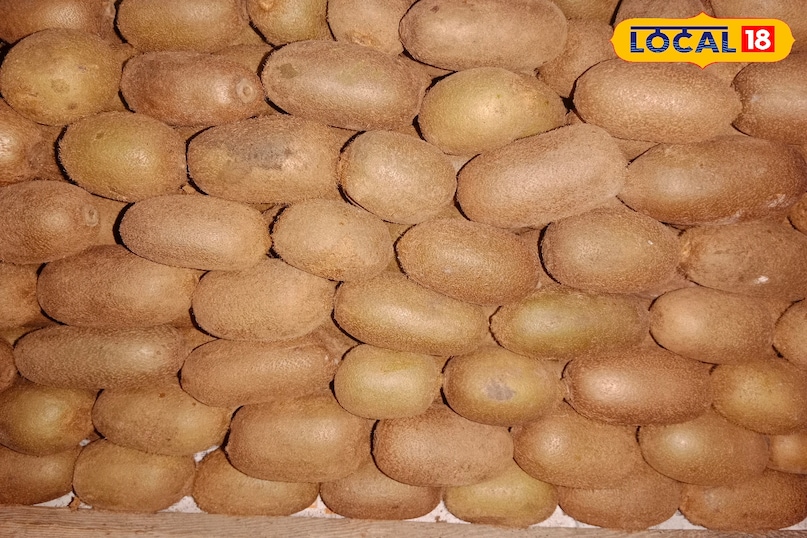 Mau news, local news, latest news, health news, up news